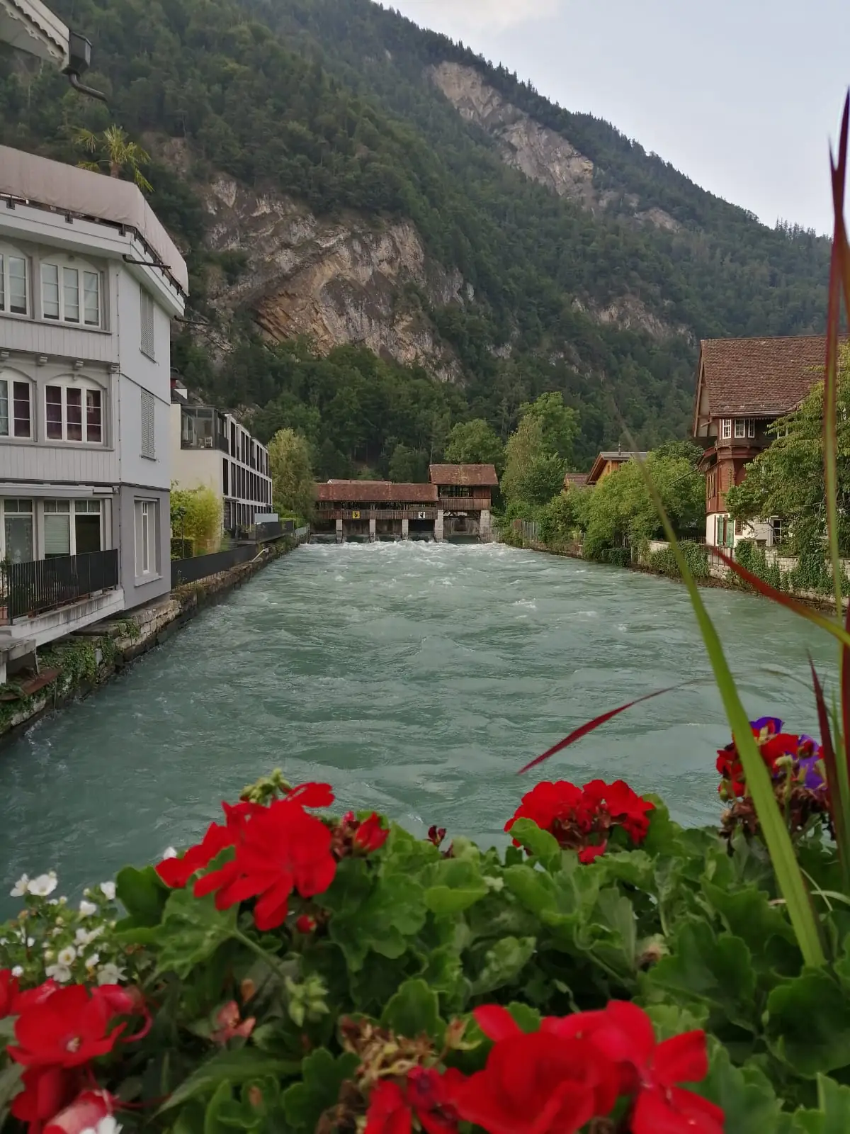 Zurich Airport to Interlaken Private Transfer